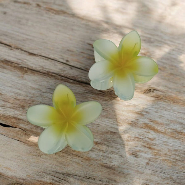 Sunshine Bloom Resin Flower Hair Clips – Bright Vintage Style Hair Accessories for Women & Girls